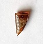 Chinees-Siberisch Natuurlijke Bandagaat Tigerclaw talisman -