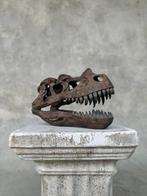sculptuur, NO RESERVE PRICE - A Replica of Dinosaur Skull -, Nieuw