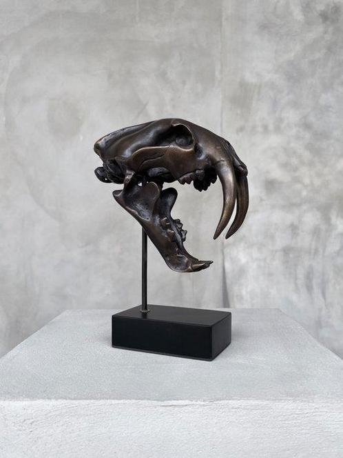 Sculpture, NO RESERVE PRICE - Smilodon - 20 cm - Bronze, Antiek en Kunst, Kunst | Designobjecten
