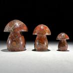 Sans prix de réserve - Ensemble de 3 magnifiques pièces en