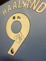 Manchester City - Engelse voetbalcompetitie - Erling Haaland, Nieuw