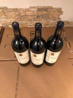 2022 San Leonardo, Terre - Trentino IGT - 3 Magnums (1.5L), Nieuw