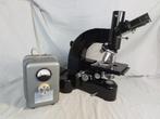 Binocular compound microscope - Ortholux - 1950-1960 - Leitz