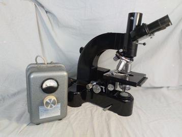 Binocular compound microscope - Ortholux - 1950-1960 - Leitz