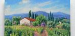 Domenico Ronca (1964) - Red flowers in the vineyard -, Antiek en Kunst
