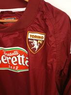 Torino FC - 2018 - Voetbal, Nieuw