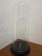 Globe - stolp - antiek - 1901-1920 - Antieke ronde stolp, Antiek en Kunst