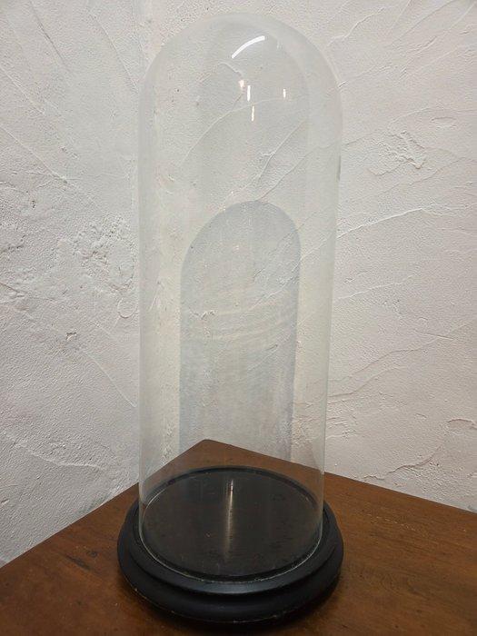 Globe - stolp - antiek - 1901-1920 - Antieke ronde stolp, Antiek en Kunst, Antiek | Boeken en Manuscripten