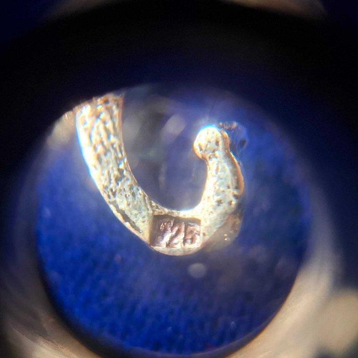 Argento 925. - Broche - Ammoniet fossiel., Antiek en Kunst, Curiosa en Brocante