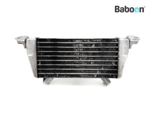 Oliekoeler BMW M 1000 R 2023 (M1000R KM3) (8356805), Motoren, Onderdelen | BMW, Gebruikt, Verzenden