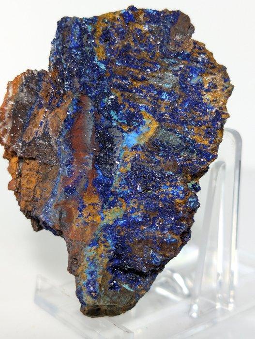 Een indrukwekkend exemplaar van azuriet met sprankelende, Collections, Minéraux & Fossiles