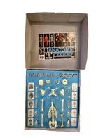 Jeu de société - Anatomie 2000