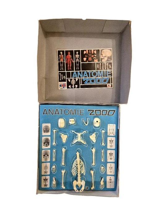 Jeu de société - Anatomie 2000, Antiek en Kunst, Antiek | Overige Antiek