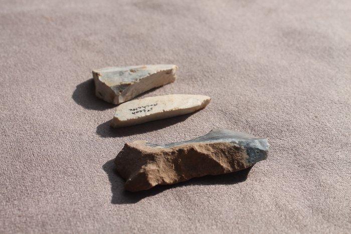 Aurigniacien - Gravettien Vuursteen Bijl, Antiek en Kunst, Antiek | Overige Antiek