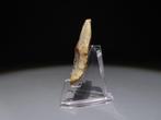Europa Vuursteen Handbijl - mes. 4,5 cm H. Neolithicum, 6000