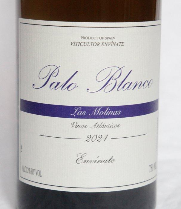 2024 Envinate, Palo Blanco Las Molinas - Tenerife,, Verzamelen, Wijnen