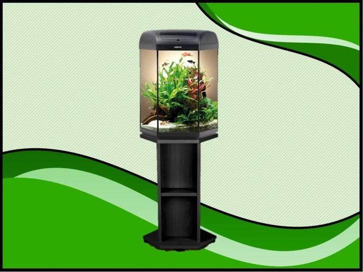 Hexa 60 aquarium set compleet inclusief meubel, Dieren en Toebehoren, Vissen | Aquaria en Toebehoren, Filter of Co2, Nieuw, Verzenden