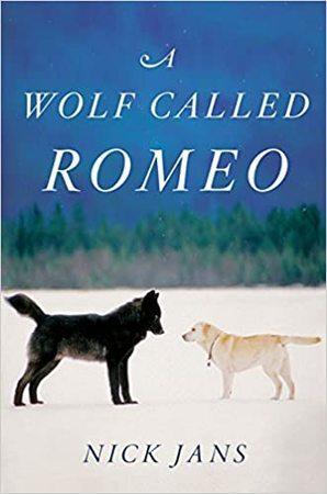 A Wolf Called Romeo, Boeken, Taal | Overige Talen, Verzenden