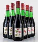 1969 Bodegas Campo Viejo - Rioja Reserva - 6 Flessen (0.75, Verzamelen, Wijnen, Nieuw