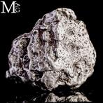 Campo del Cielo - Météorite – Fer-nickel avec structure de
