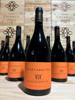 2021 Domaine Beyssannette Cuvée Sacré Caractère - Provence, Nieuw