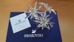 Figuur - Swarovski - 2020 SCS - Edelweiss - 5493708 - Boxed