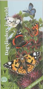 Dagvlinders in beeld / In beeld / 5 9789050111454 F. Bos, Boeken, Verzenden, Gelezen, F. Bos