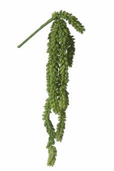 Sedum hanger l50cm groen header Supermooie Hangplant, Maison & Meubles, Accessoires pour la Maison | Plantes & Fleurs artificielles