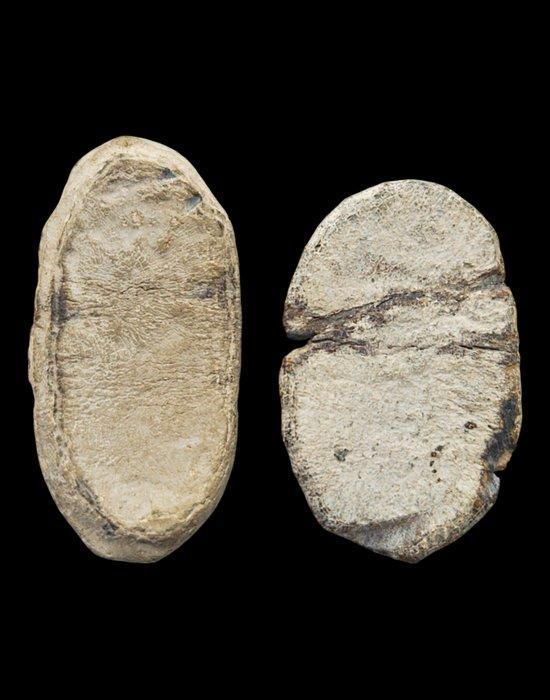 Indonesië. Unique lead tokens with dots (5 central) used as, Postzegels en Munten, Munten | Azië