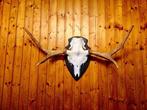 Noordelijke eland Taxidermie volledige montage -, Verzamelen, Dierenverzamelingen, Nieuw