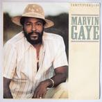 Marvin Gaye - Sanctified lady - Single, Pop, Single
