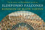 Koningin op blote voeten / Dwarsligger / 499 9789049806064, Verzenden, Gelezen, Ildefonso Falcones
