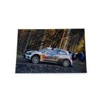 Volkswagen Polo R WRC - 69 Wales Rally GB - Sébastien Ogier