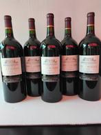 2018 Chateau Haut Rozier - Bordeaux - 5 Magnums (1.5L), Nieuw