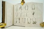 C. F. Burdach / A.-J.-L. Jourdan - Traité de Physiologie