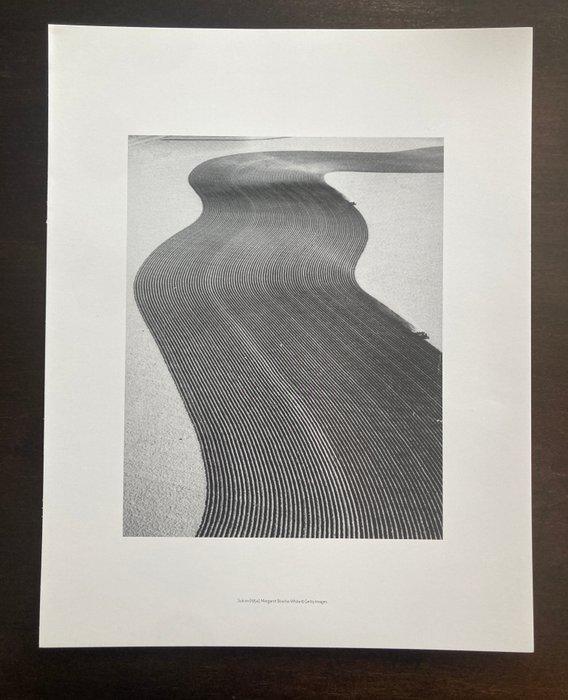 Margaret Bourke-White (1904-1971) - Grooves, Dust Bowl,, Antiek en Kunst, Kunst | Designobjecten