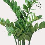 Kunstplant - Zamioculcas - Kamerpalm - 70 cm, Maison & Meubles, Accessoires pour la Maison | Plantes & Fleurs artificielles
