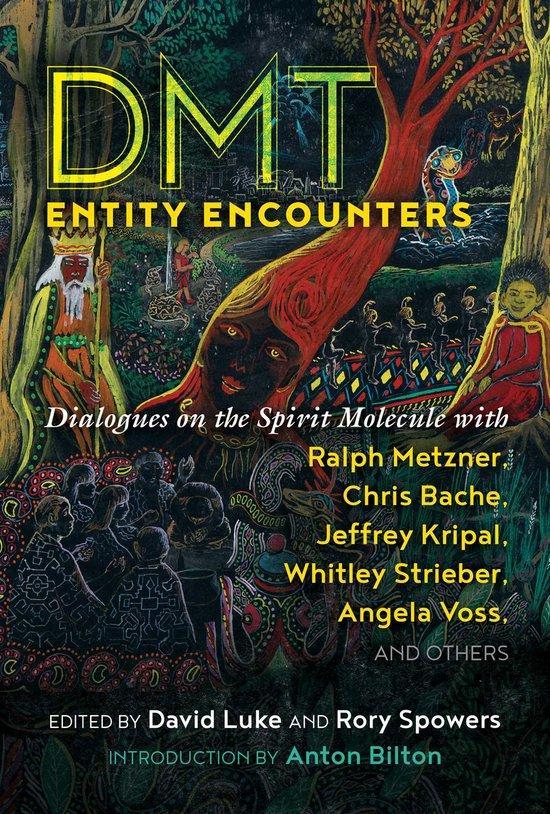 DMT Entity Encounters 9781644112335, Boeken, Taal | Engels, Gelezen, Verzenden