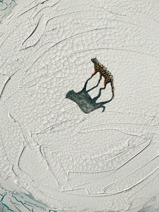 Taty Ur - Shadow on an Arid World, Antiek en Kunst, Kunst | Schilderijen | Modern