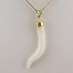 Koraal - Zilver - Ketting met hanger - met de hand, Verzamelen, Mineralen en Fossielen