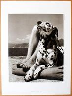 Herbert List (1903 - 1975) - Master and Dog, Portofino.