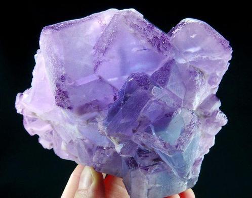 Fluorine bleue et violette - Veine Josefa-Veneros, La, Collections, Minéraux & Fossiles