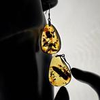 Unieke amber fossiel oorbellen – honing doorzichtige