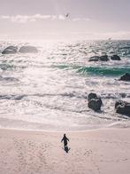 Fabio Accorrà - The lonely penguin