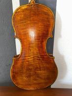 Labelled Domenico Migliorati - - Viole - Inconnu (Sans prix