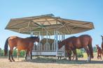 NIEUW!! Vierkante hooiruif met groot klimatiseringsdak 36m2!, Dieren en Toebehoren, Weidegang, 4 paarden of pony's of meer