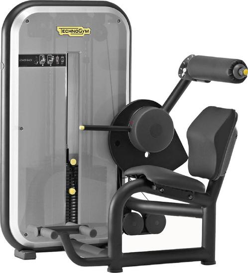 Element+ lower back, Sport en Fitness, Fitnessmaterialen, Zo goed als nieuw, Rug, Verzenden