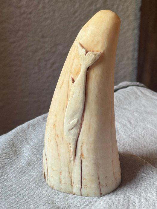 Scrimshaw - Ivoor, Antiek en Kunst, Curiosa en Brocante