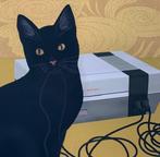 Anna Maia - Nintendo