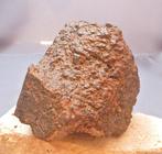 Chondriet Chondrite meteoriet - 517 g - (1), Verzamelen, Mineralen en Fossielen